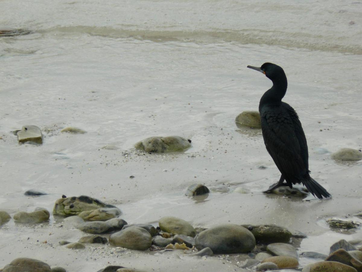 Appartamento House Of 2 Oceans Agulhas Esterno foto