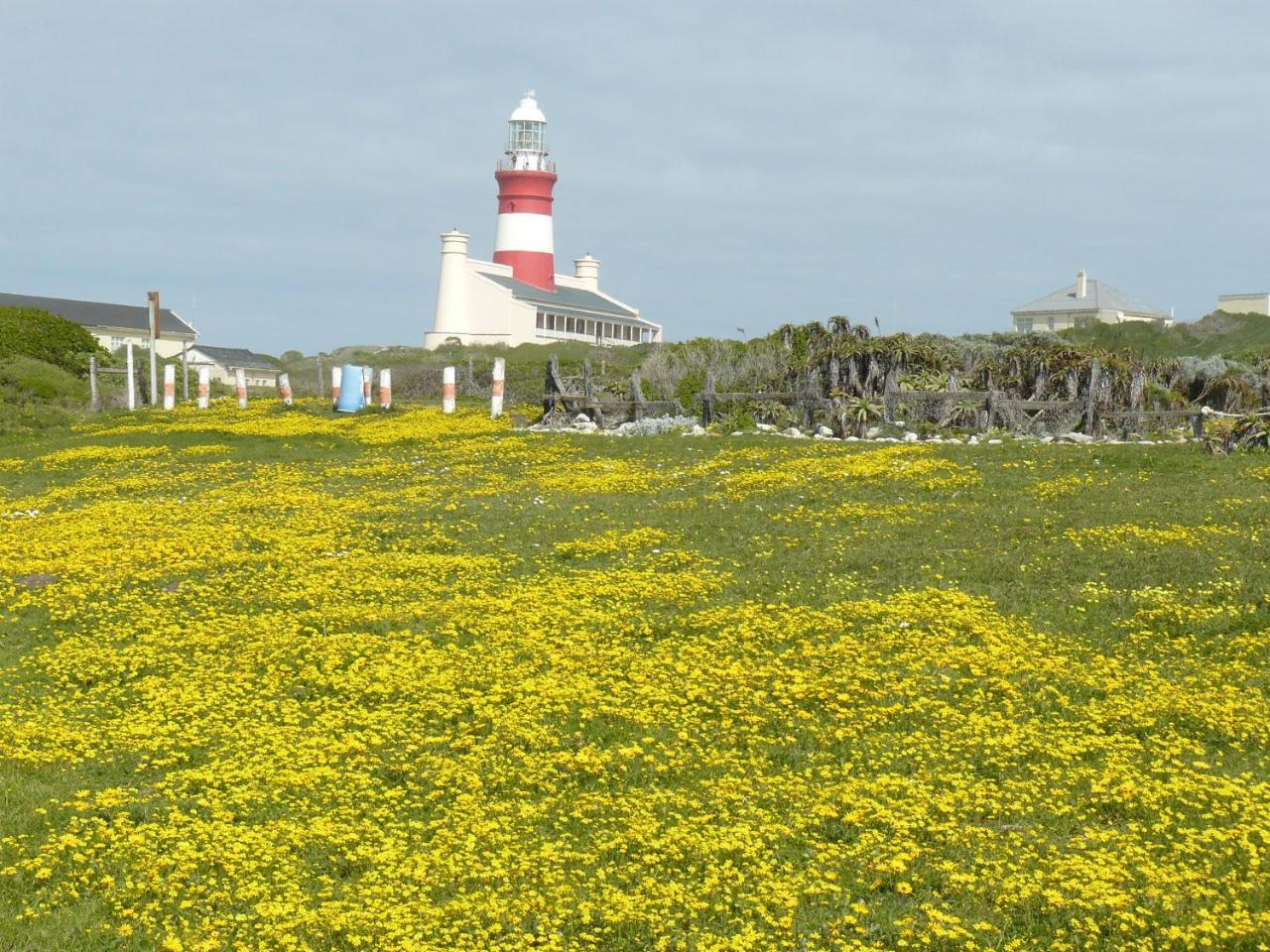 Appartamento House Of 2 Oceans Agulhas Esterno foto